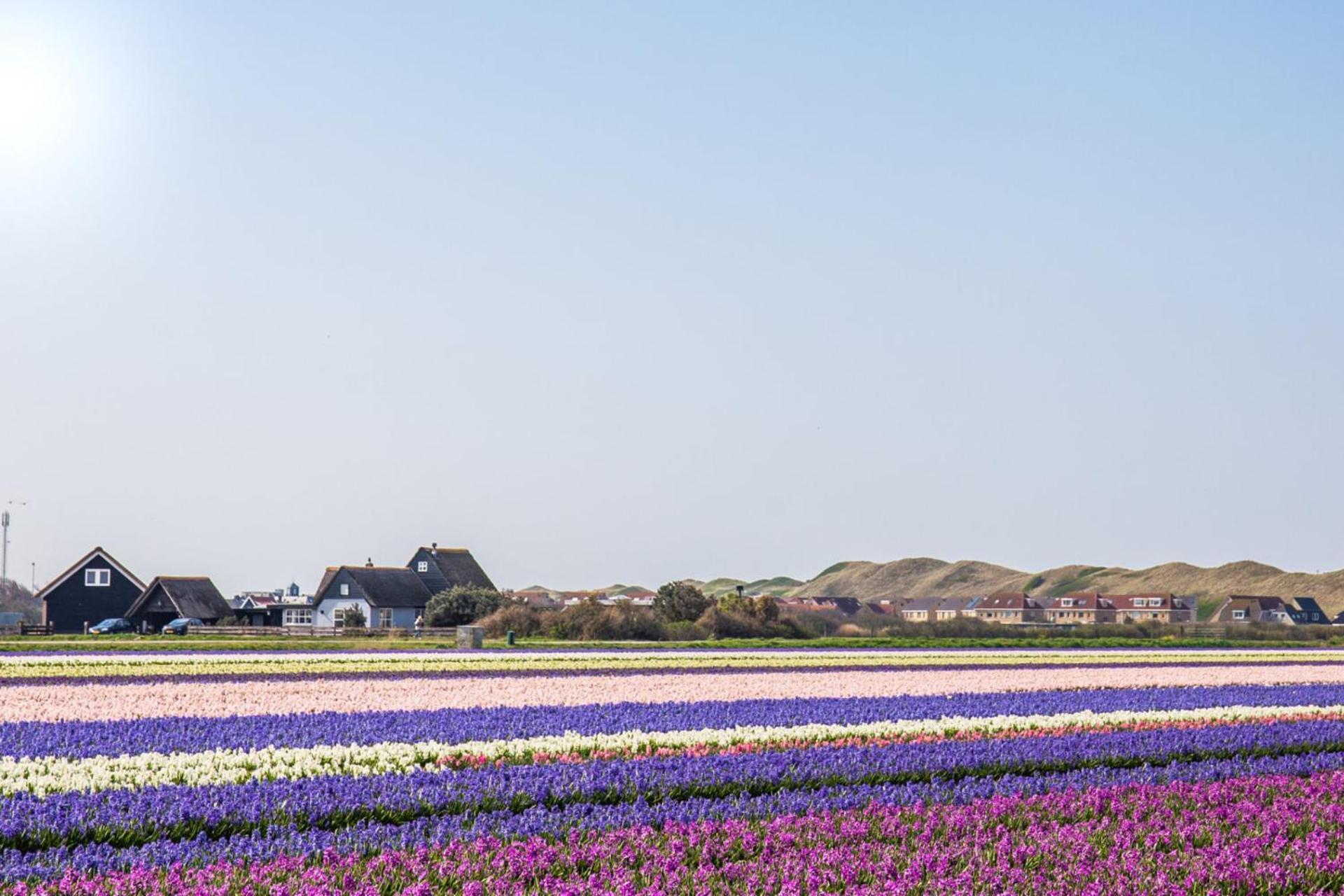 Vakantiehuis Pico Bello - Callantsoog Aan Zee Екстер'єр фото